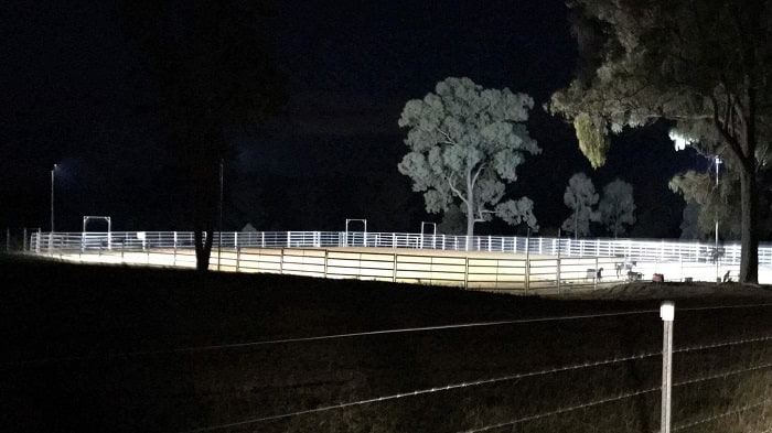 Horse cattle panel at night