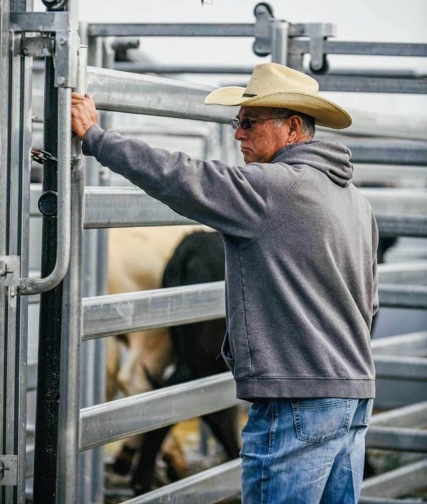 One person operating 4 rivers corral and squeeze chute