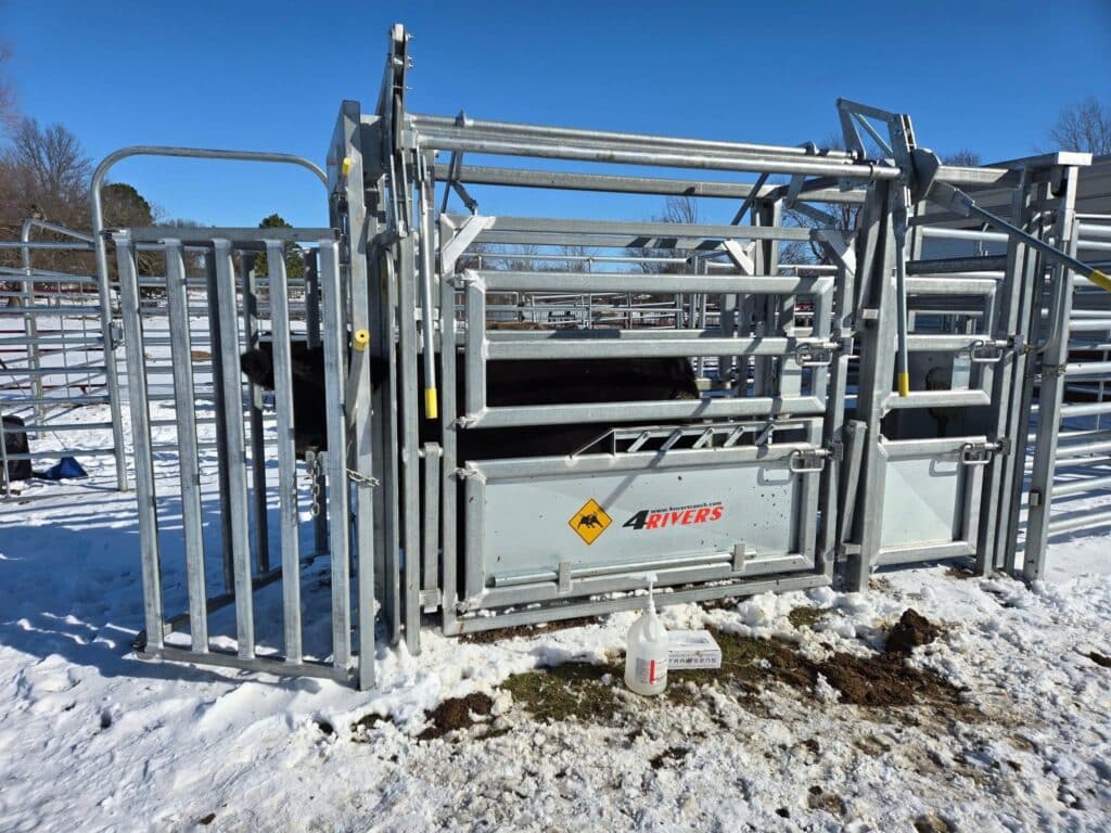 Cattle Handling Equipment Livestock Handling Cattle Chutes Cattle Squeeze Chutes Portable Cattle Squeeze Chute Veterinary Cattle Chute Cattle Handling Systems Cattle handlining solution 4 Rivers Ranch EquipmentLivestock facility equipment Efficient livestock handling Beef cattle equipment Ranching equipment Ranch livestock solutions Veterinary cattle handling On farm cattle handling Livestock loading ramps Cattle loading chute Ergonomic cattle handling Cattle corrals Cattle yards Cattle corral designs One person cattle corral designs Cattle facility designs Cattle working designs Cattle Panels Cattle Gates Cattle sweep Corral sweep Cattle tub Corral tub Horse Round Pens Horse panels Horse Arena panels Team roping arena Roping arena Ranch sorting arena Horse Arena