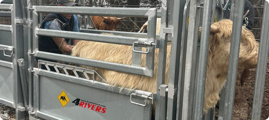 Livestock Equipment Distributors - 2026 Update - 4 Rivers Ranch