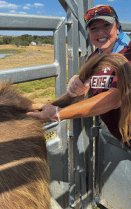 Cattle Handling Equipment, Chutes & Corrals | 4 Rivers Ranch