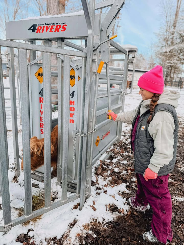 Cattle Handling Equipment, Chutes & Corrals | 4 Rivers Ranch