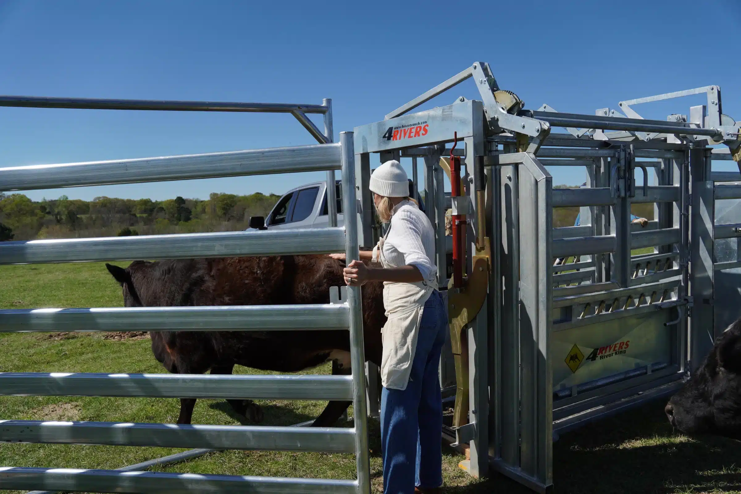 A woman holds open heavy duty cattle gates for a cow passing through in a ranch setting.